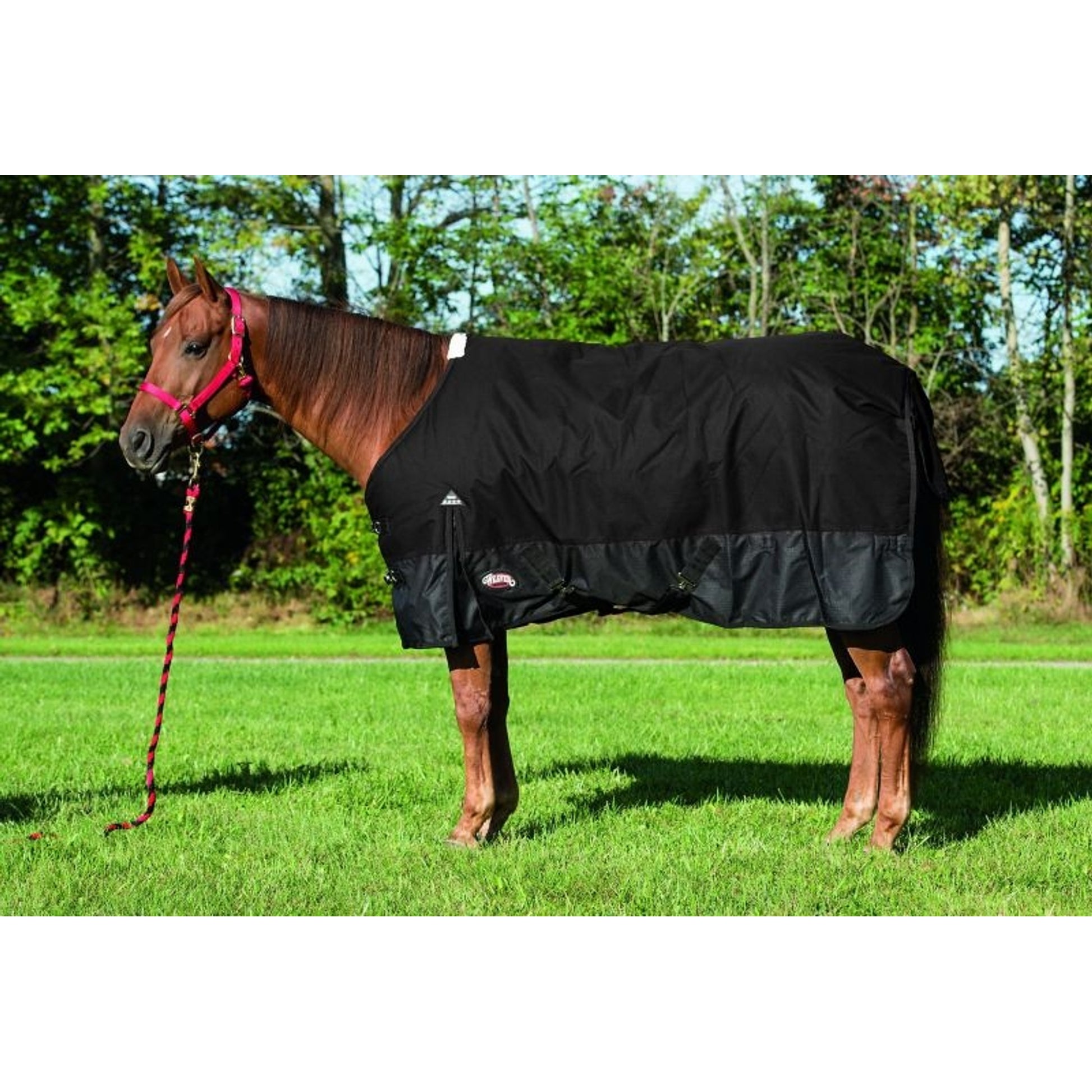 Weaver Economy 1200 D Horse Blanket