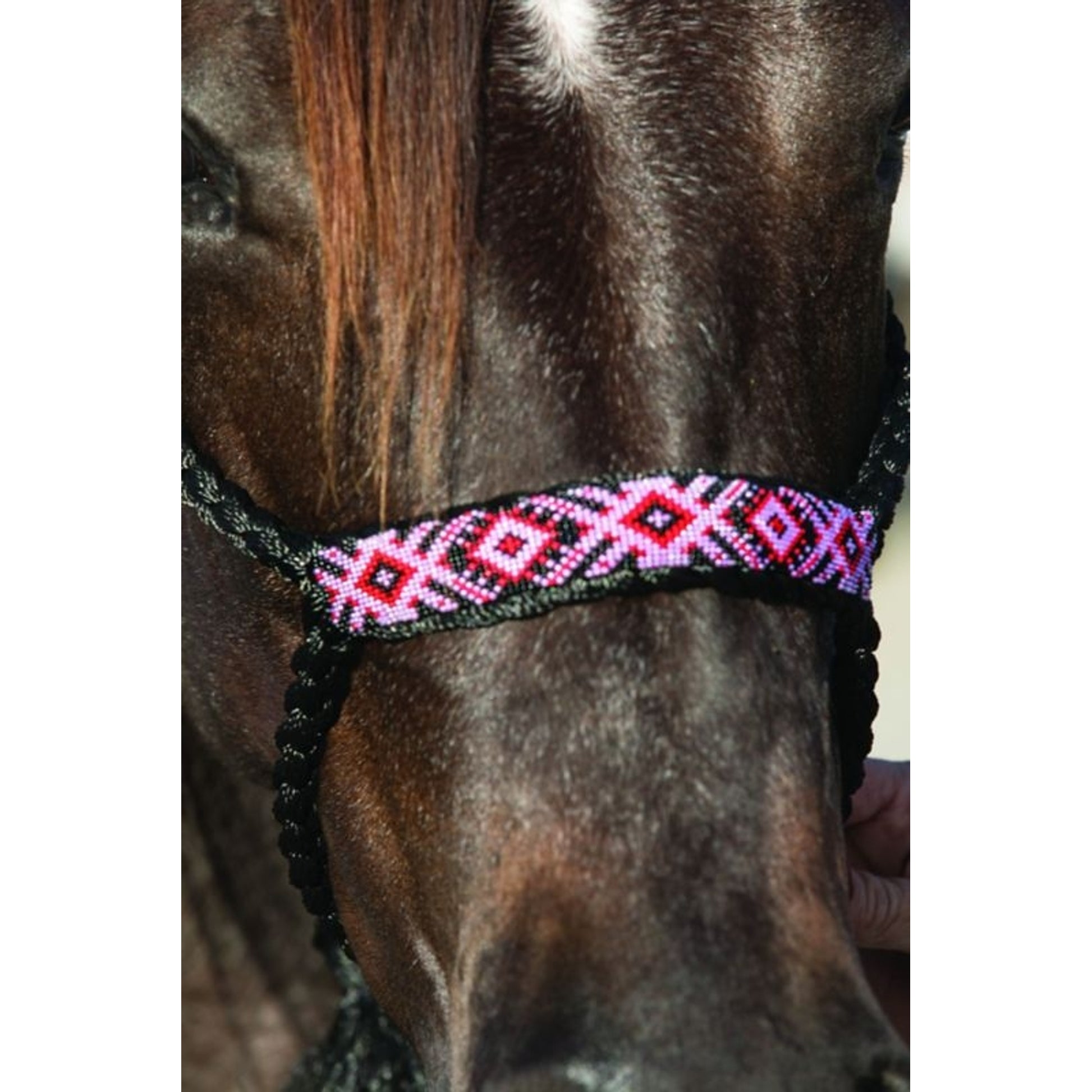 Pro Cho Cowboy Braided Halter 10 Lead Black