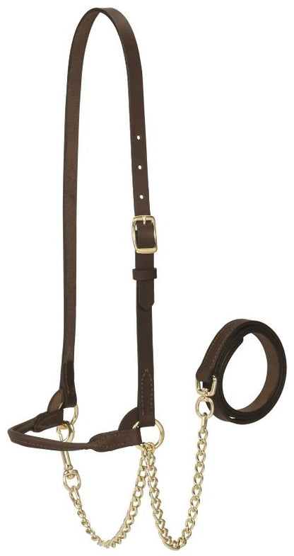 Weaver Dairy Halter
