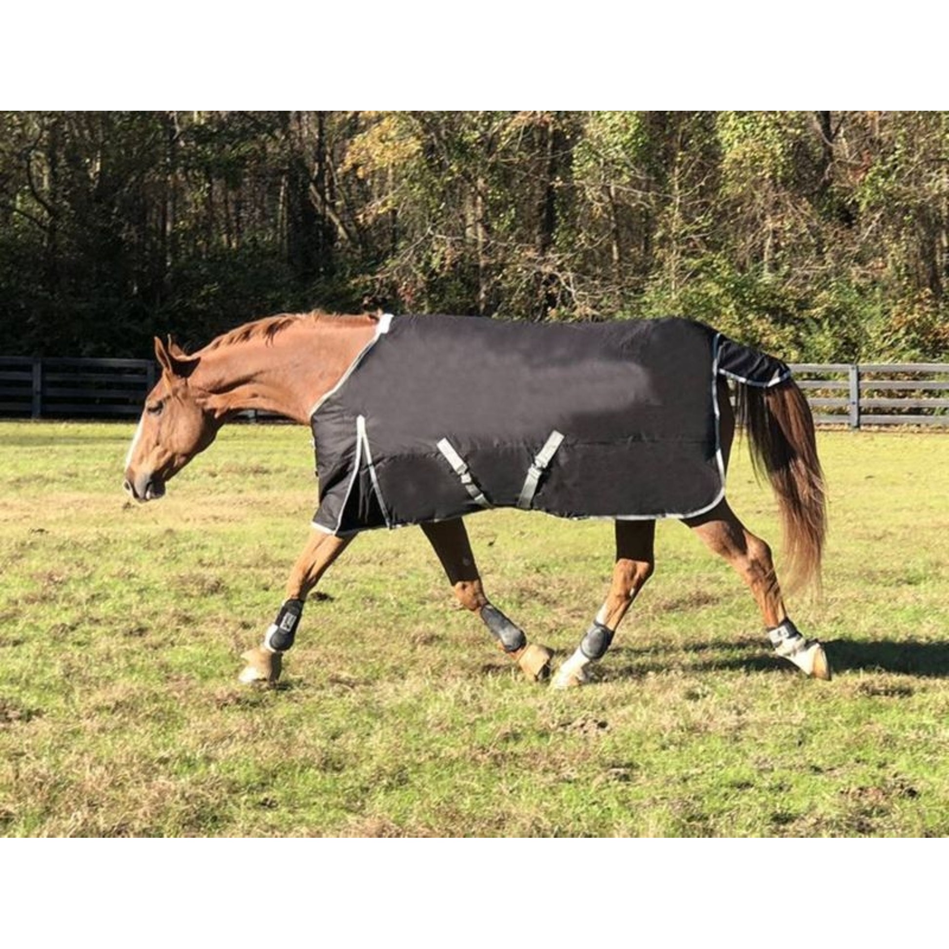 1200D Waterproof Turnout Sheets 48in Navy/Silver