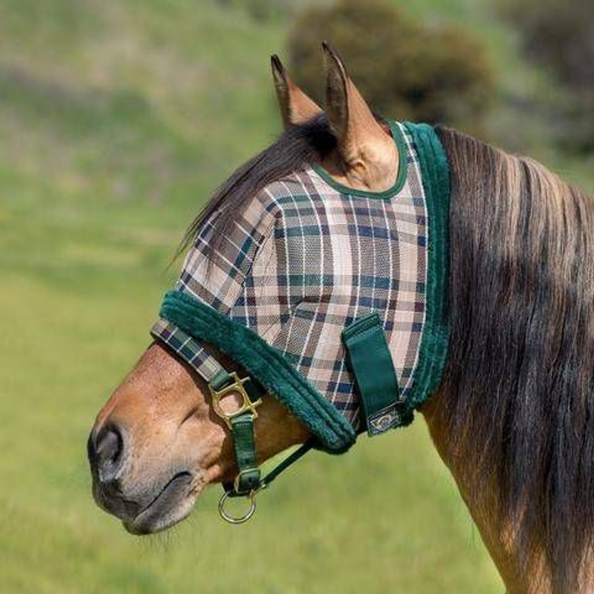 Kensington Fly Mask with Fleece Trim