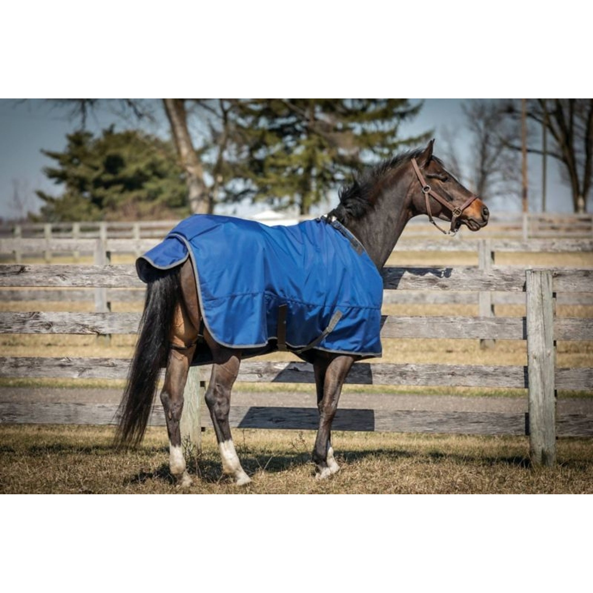 Super Hug 360g Hvy 2520D TO Blanket