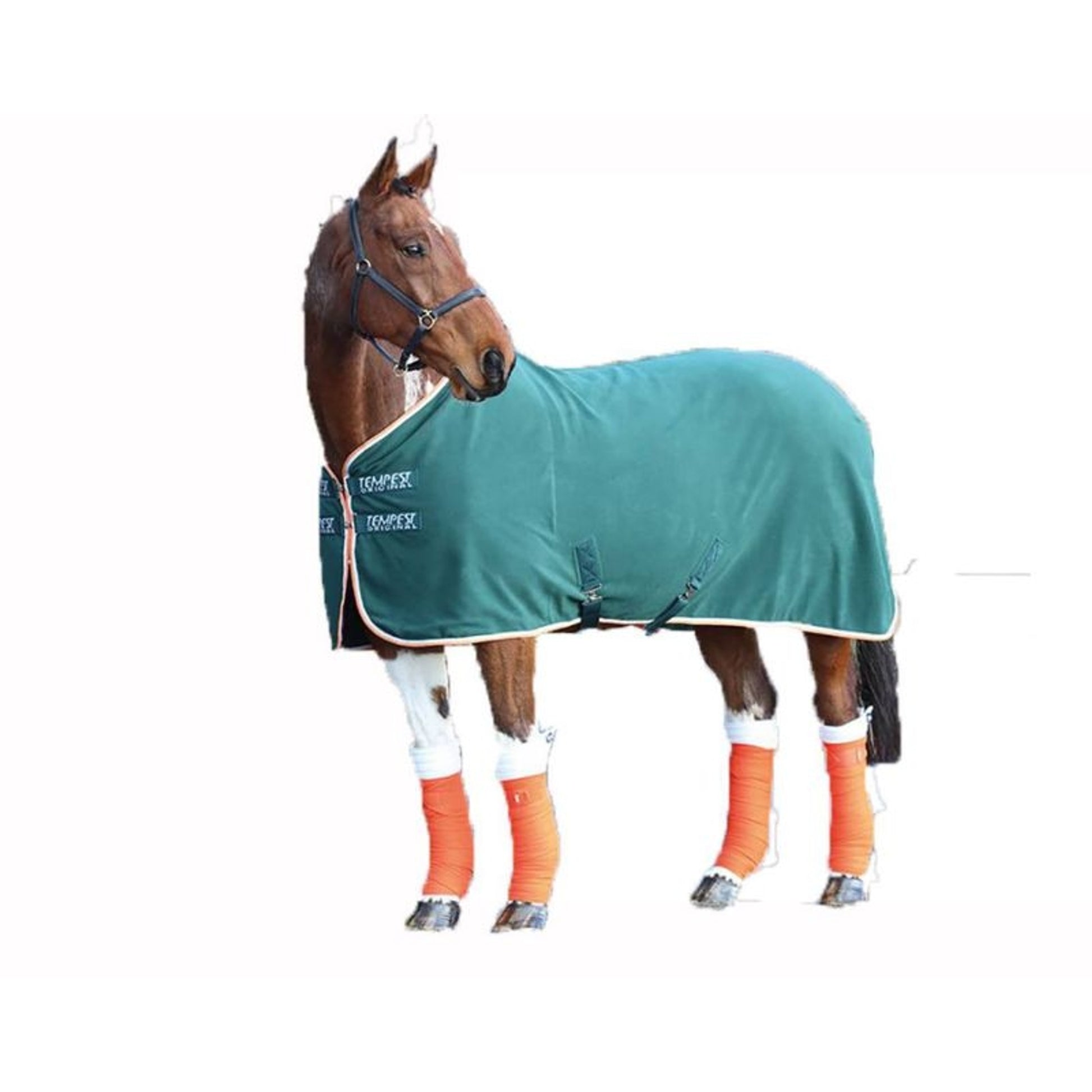 Shires Tempest Fleece Sheet 60 Green/Orange/Grey
