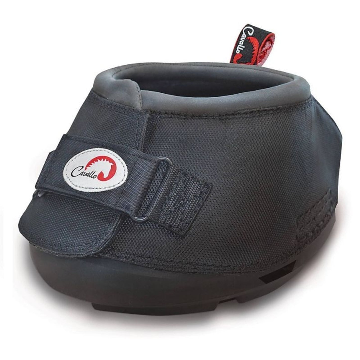 TH1592652_31085.jpg