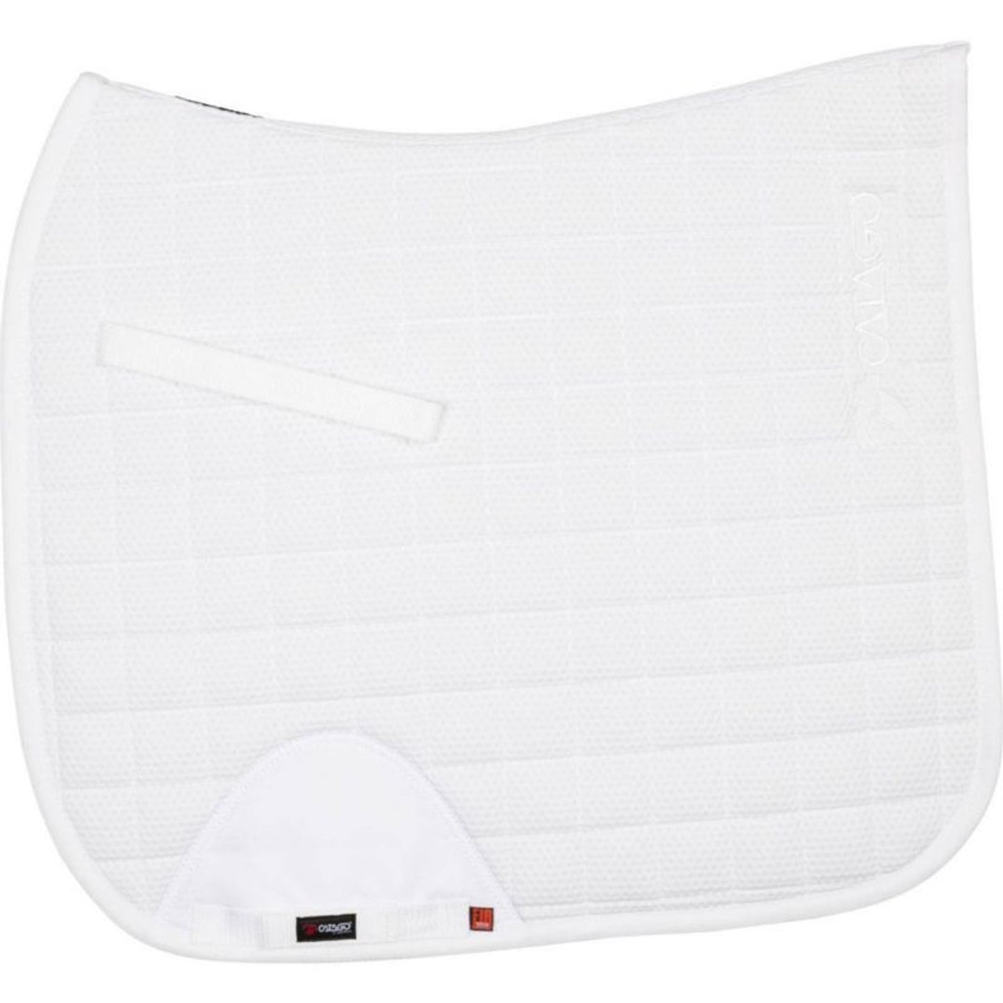 TH1648548_52261.jpg
