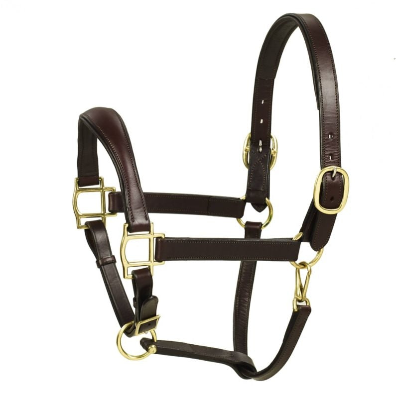 Aramas Mild Raised ZERO Shape Padded Halter Full C