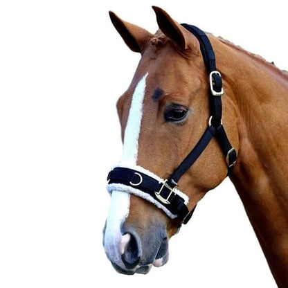 Shires Fleece Lined Lunge Cavesson