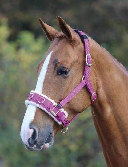 Shires Fleece Lined Lunge Cavesson