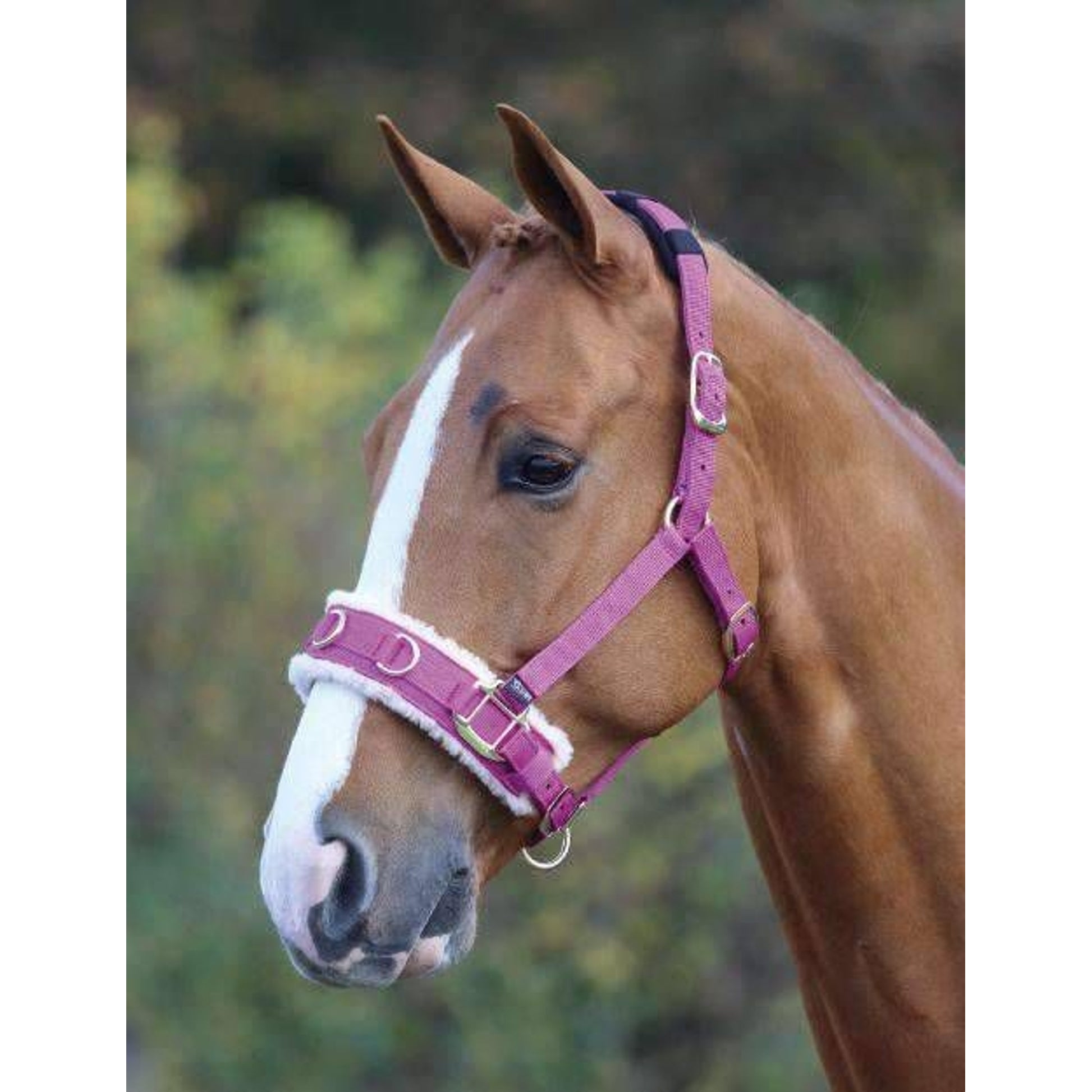 Shires Fleece Lined Lunge Cavesson
