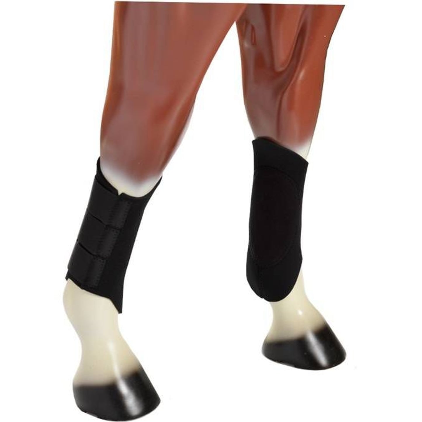 TH1656764_23311.jpg