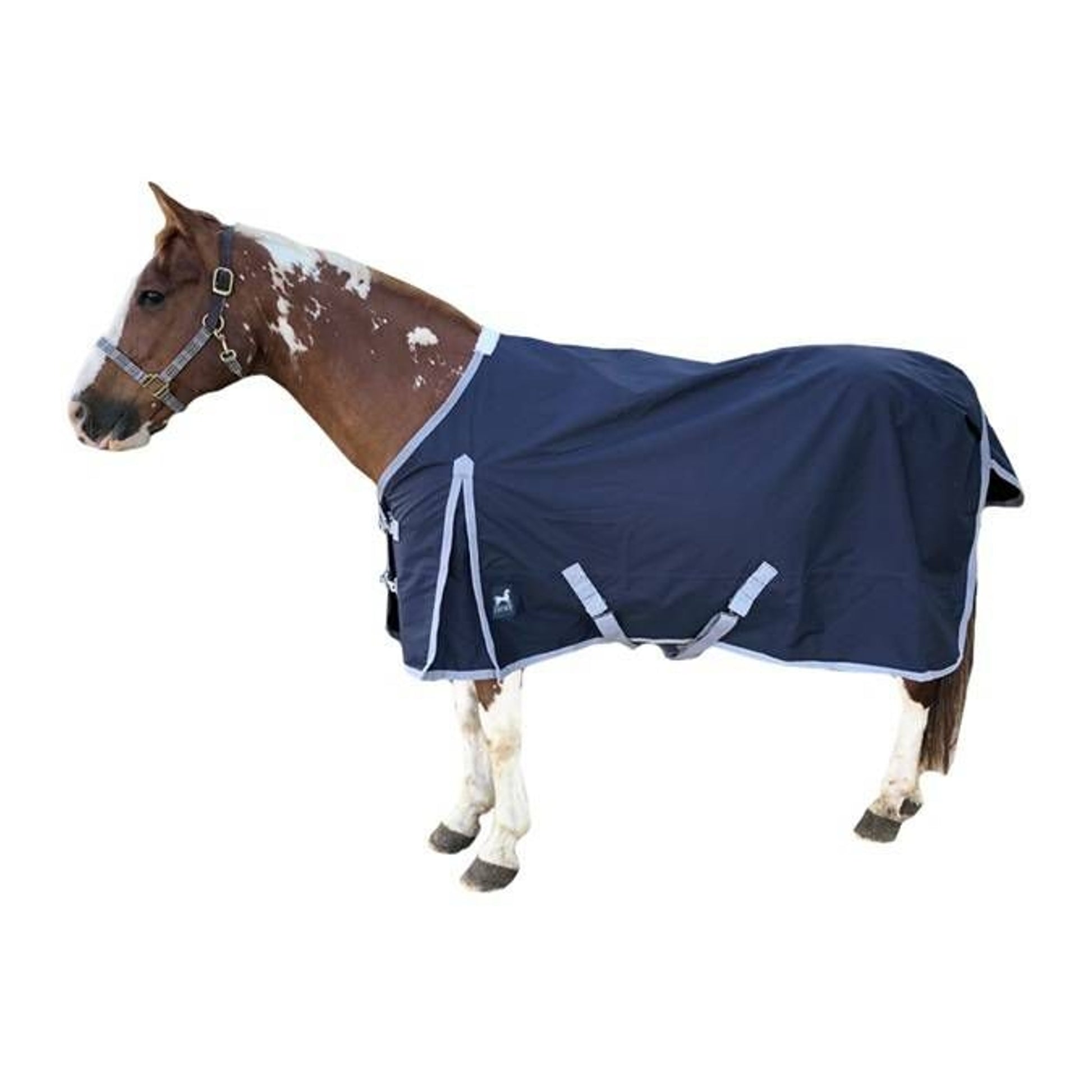 Jacks Atlas 600D Turnout Blanket with 300GM Lining