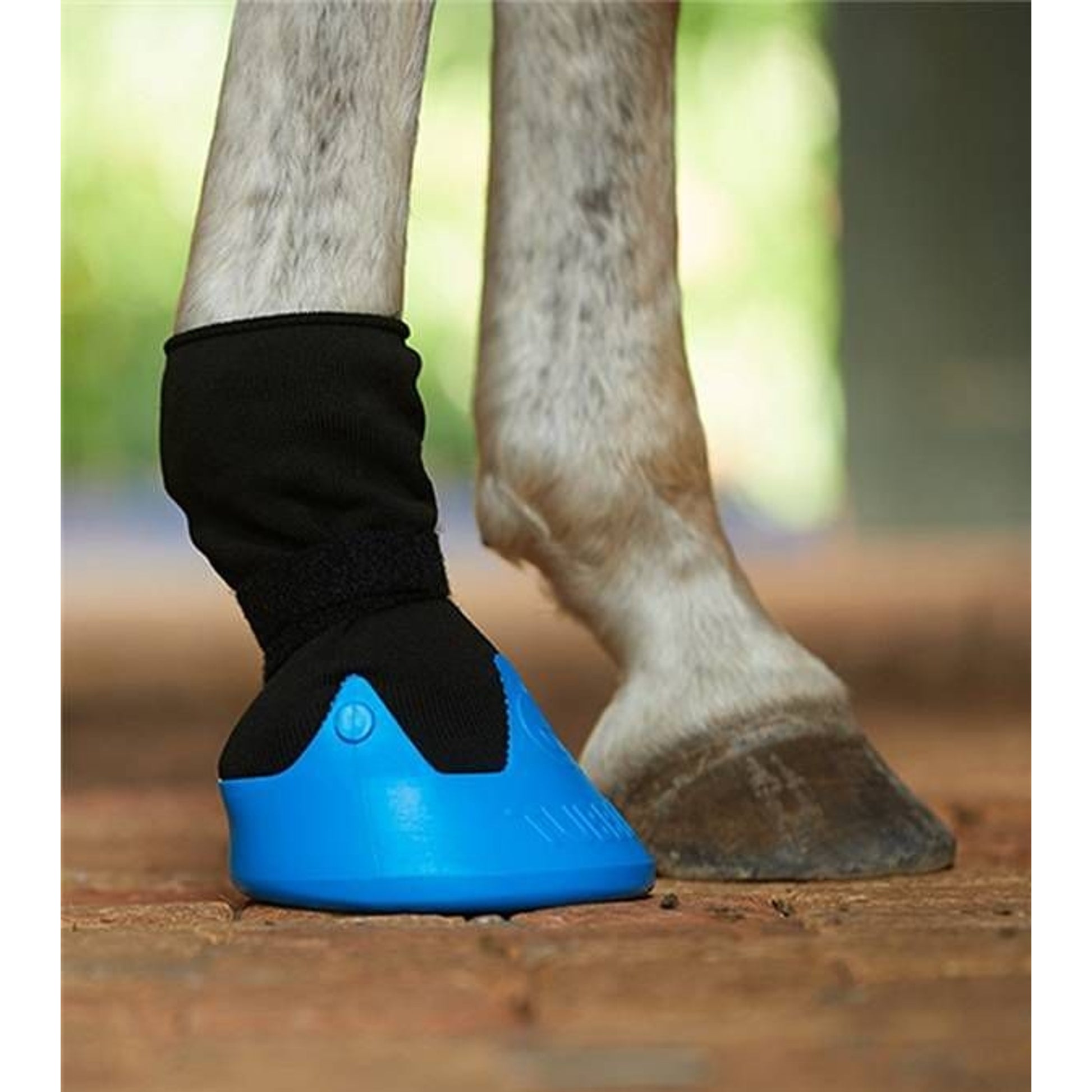 Tubbease Hoof Sock Large Royal