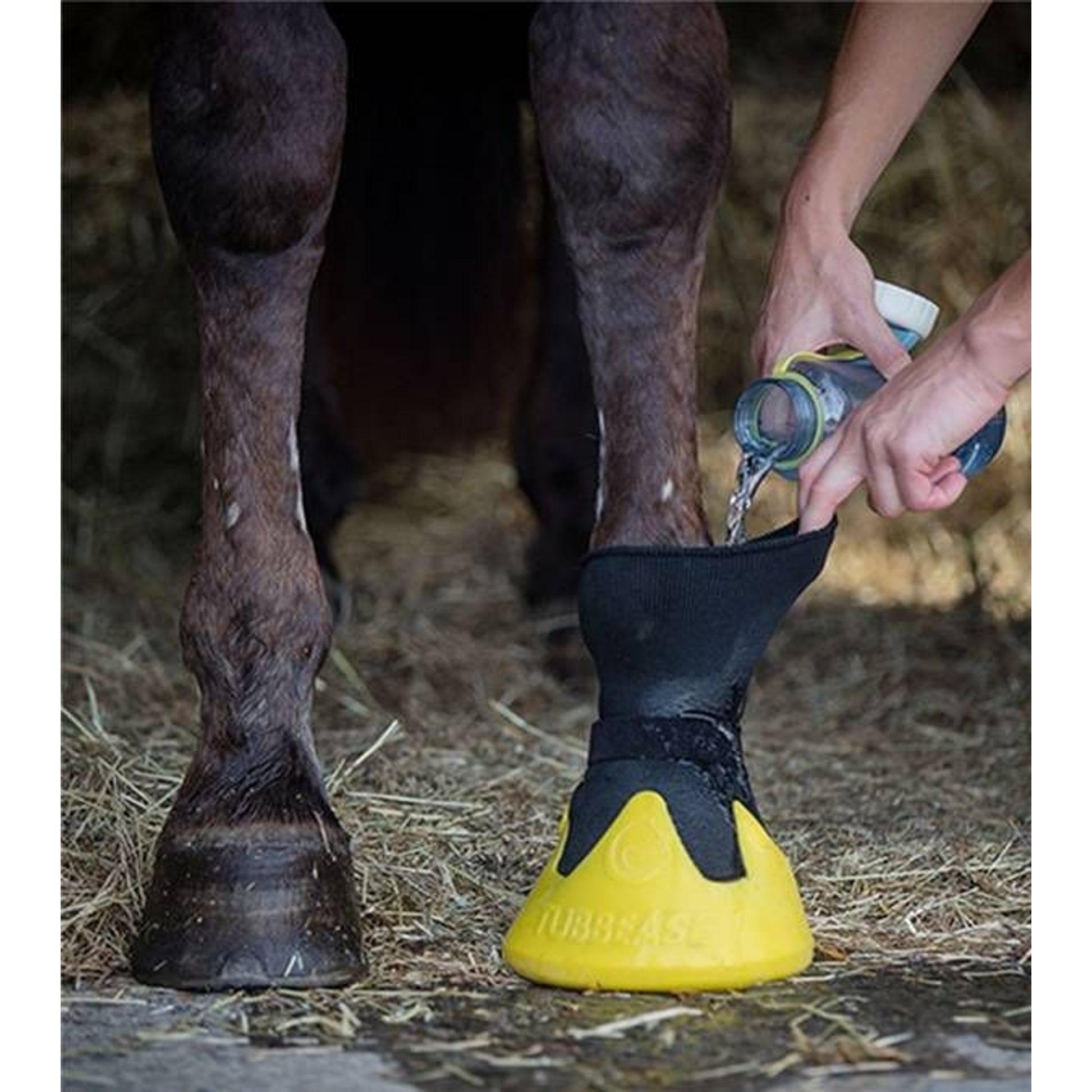 Tubbease Hoof Sock Large Royal