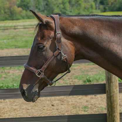 HDR Stress Free Fancy Stitch Halter