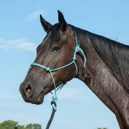Classic Equine Premium Rope Halter Average Black