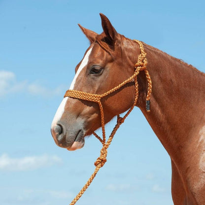 Cashel Flat Braid Halter with 9 Ft Lead Black