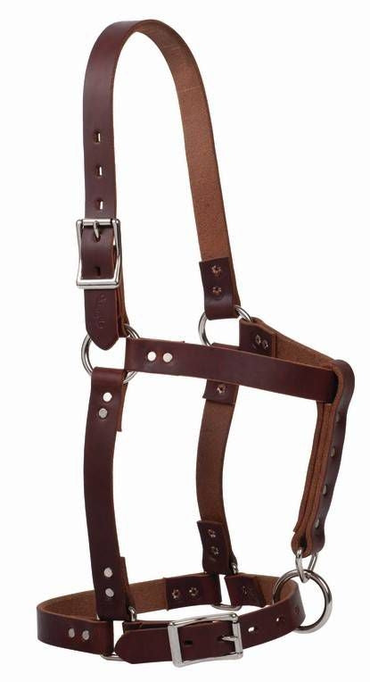 Weaver Riveted Halter with CatchStrap
