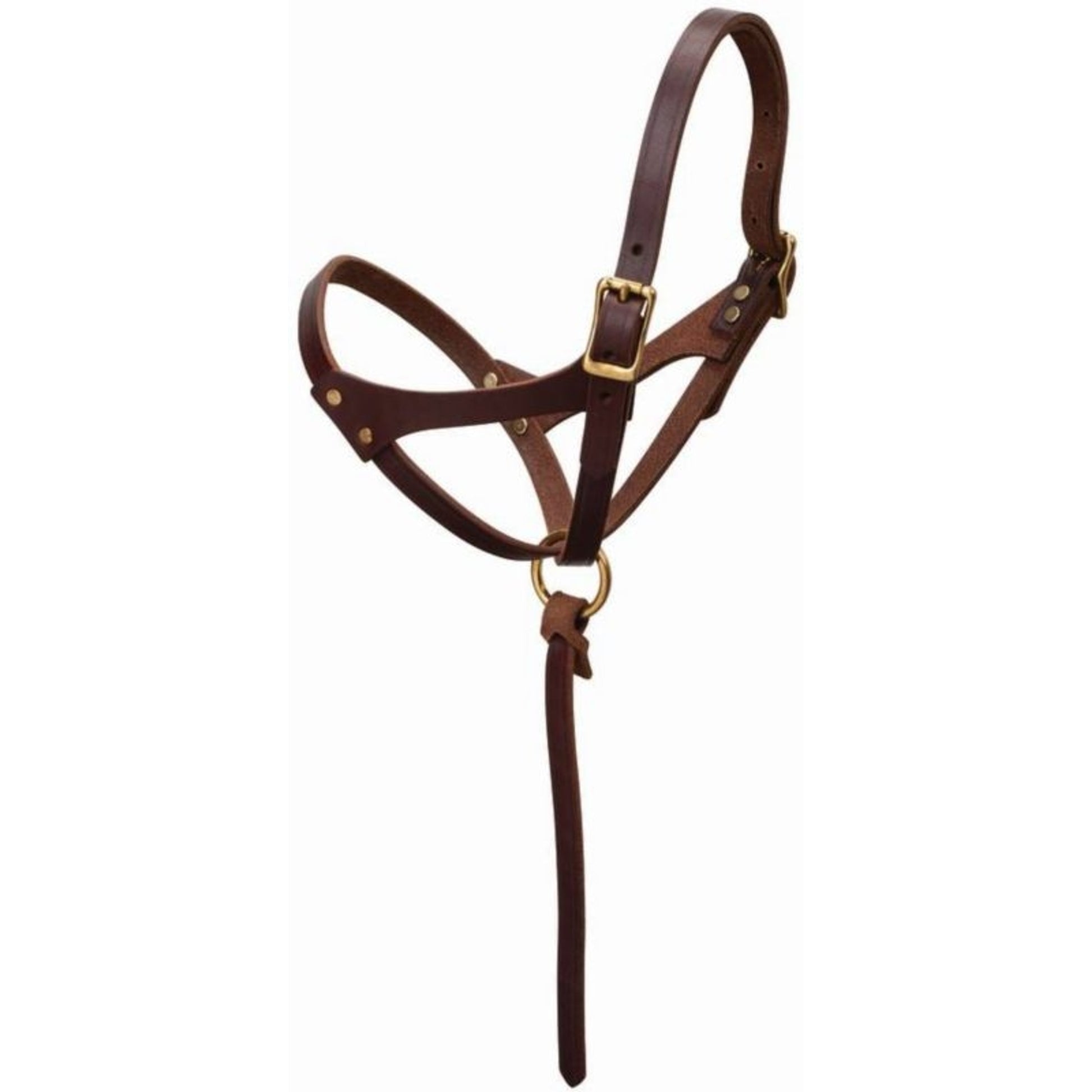 Weaver Figure 8 Foal Halter