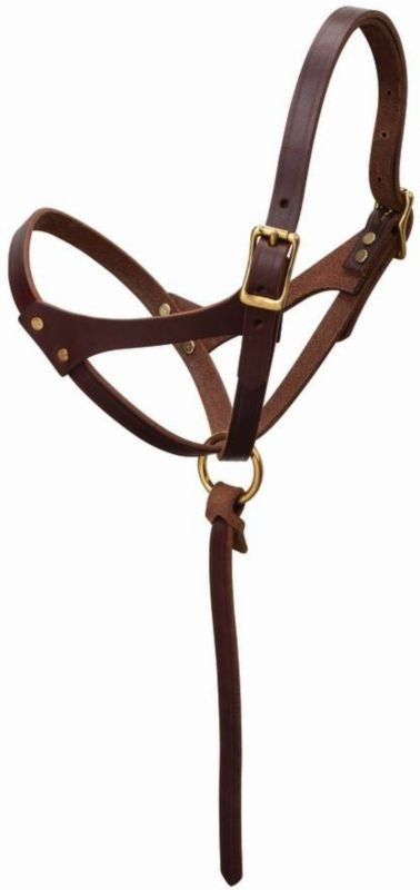 Weaver Figure 8 Foal Halter