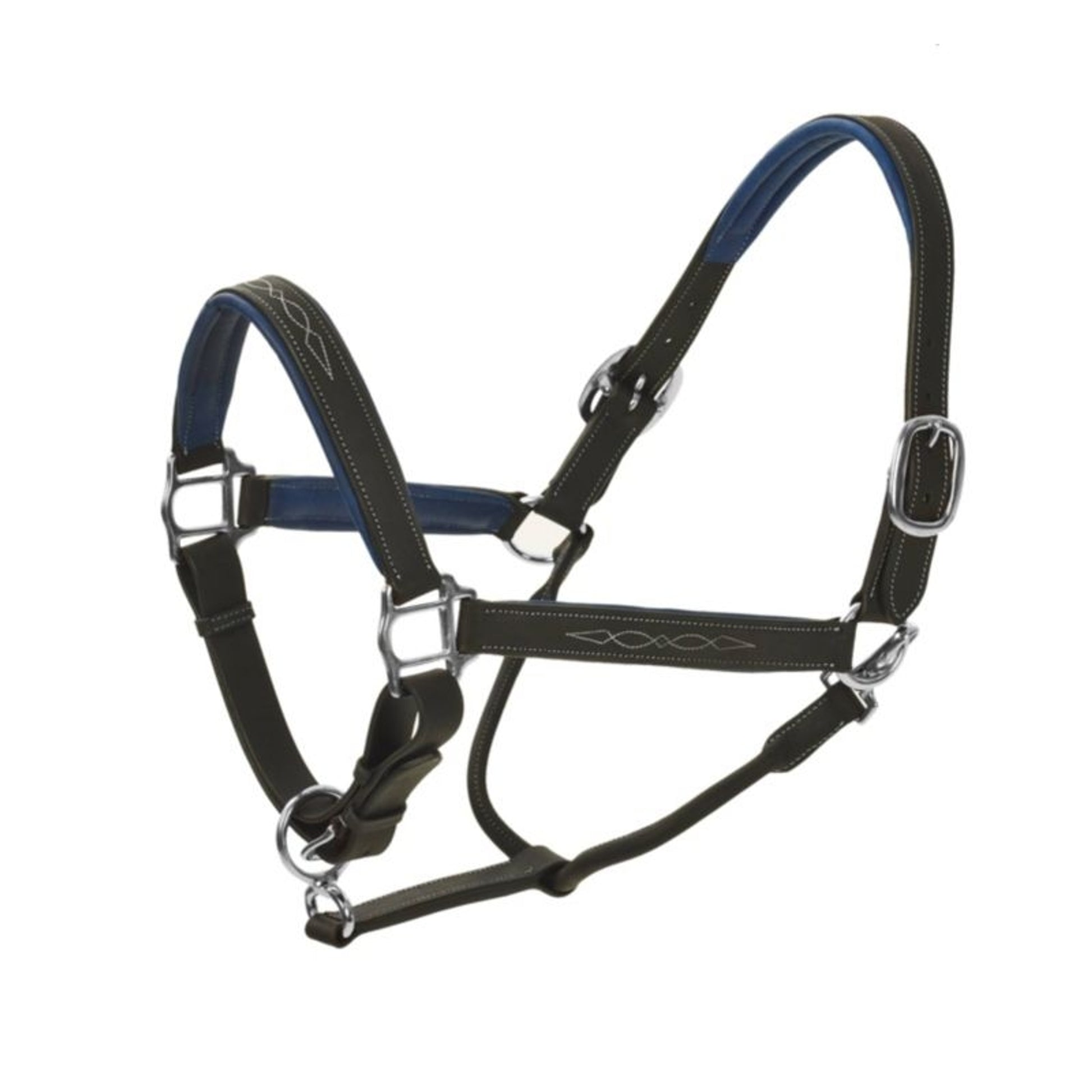Ovation Richtan Luxury Padded Halter Horse Black/B