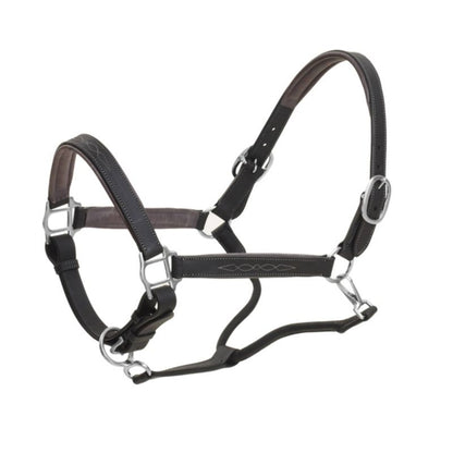 Ovation Richtan Luxury Padded Halter Horse Black/B