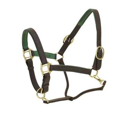 Ovation Richtan Luxury Padded Halter Horse Black/B