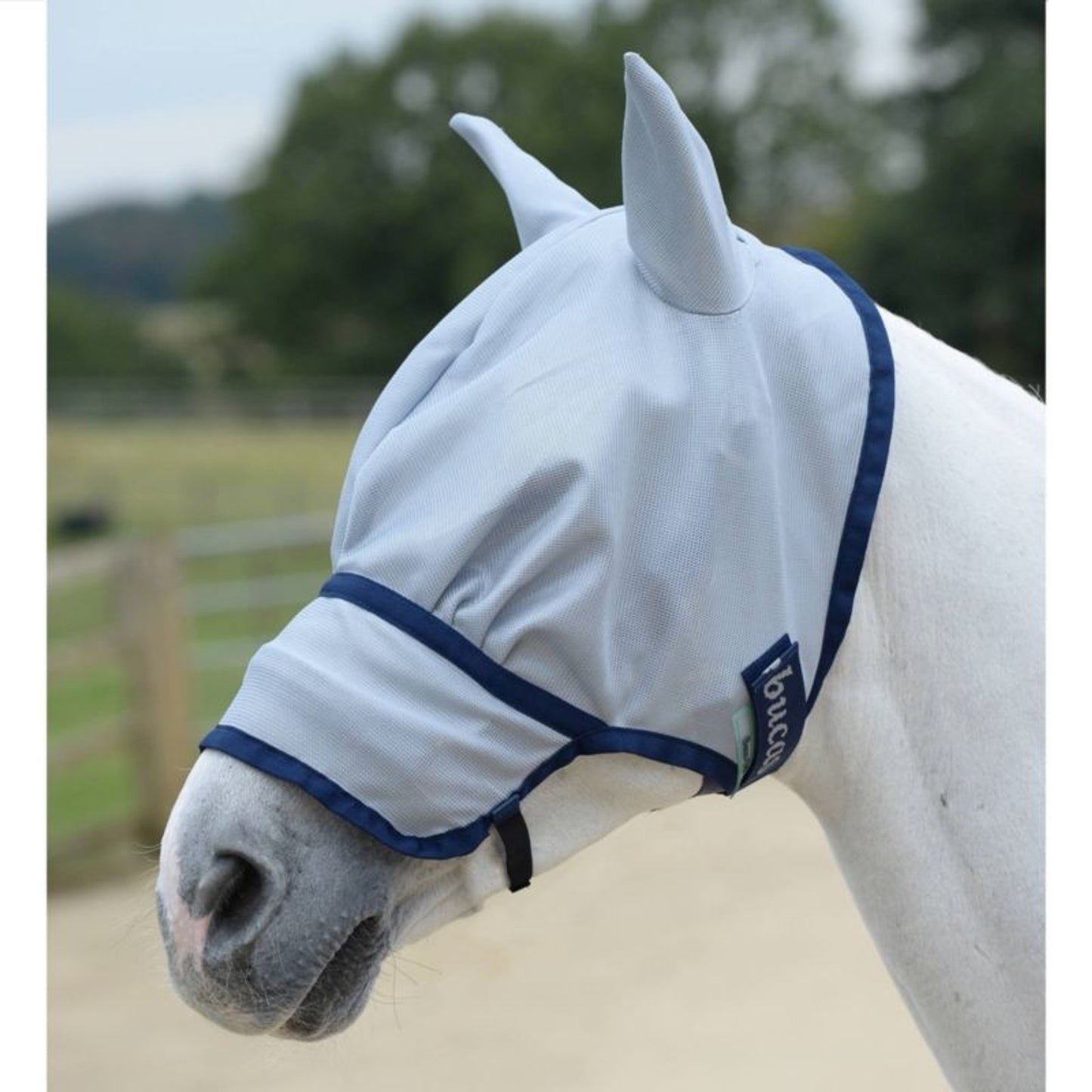 TH1701697_P.jpg