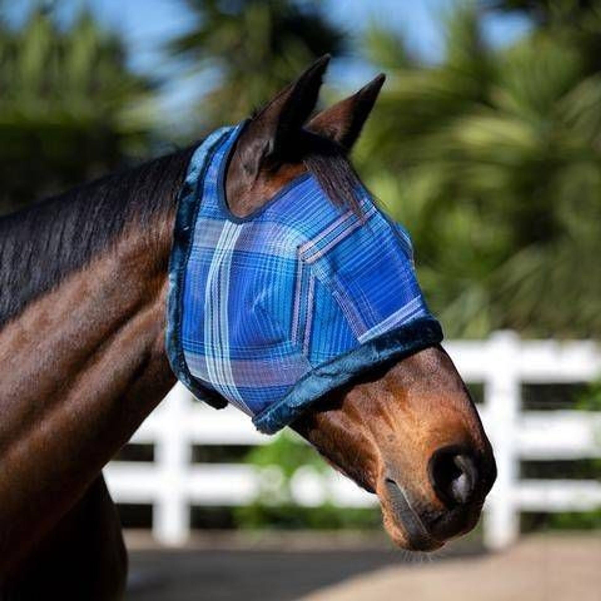 Kensington Signature Draft Fly Mask with Plush Fleece