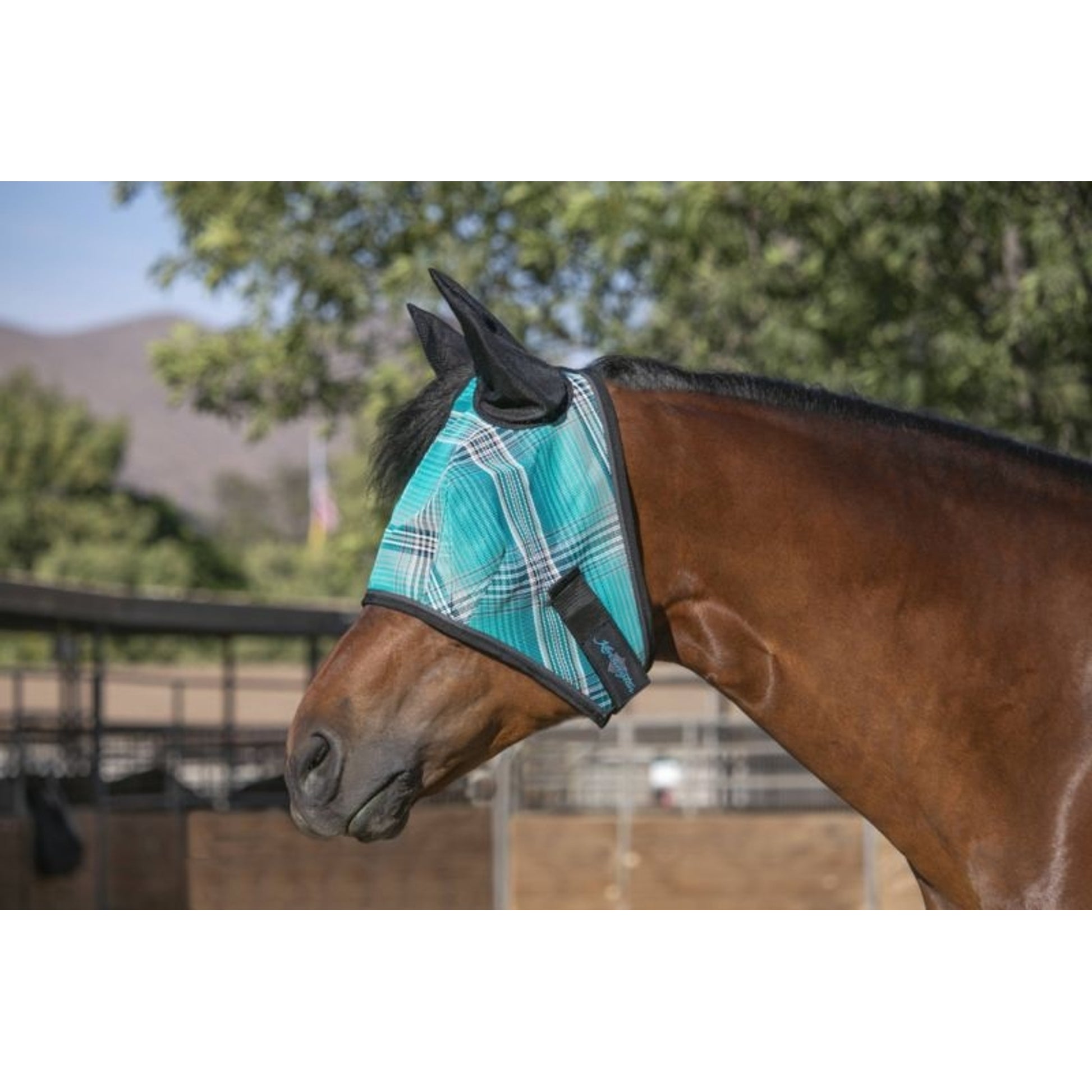 Kensington Fly Mask Web Trim/Ears