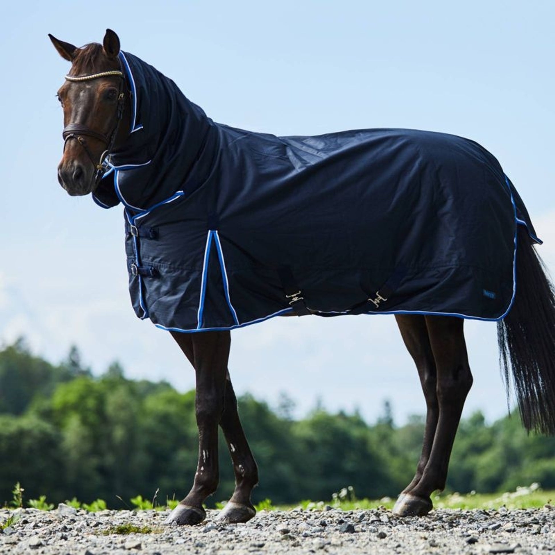 Horze Glasgow Light Weight Combo Turnout Sheet 75