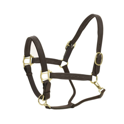 Ovation Richtan Luxury Padded Halter Horse Black/B