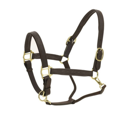 Ovation Richtan Luxury Padded Halter Horse Black/B