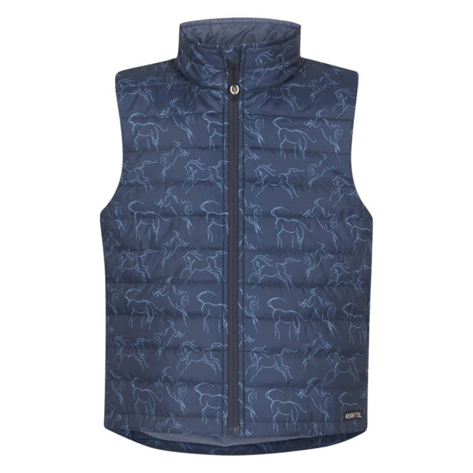 Wild Bird - C And S Bluebird Nuggets Plus 27oz