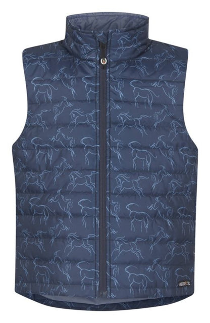 Wild Bird - C And S Bluebird Nuggets Plus 27oz