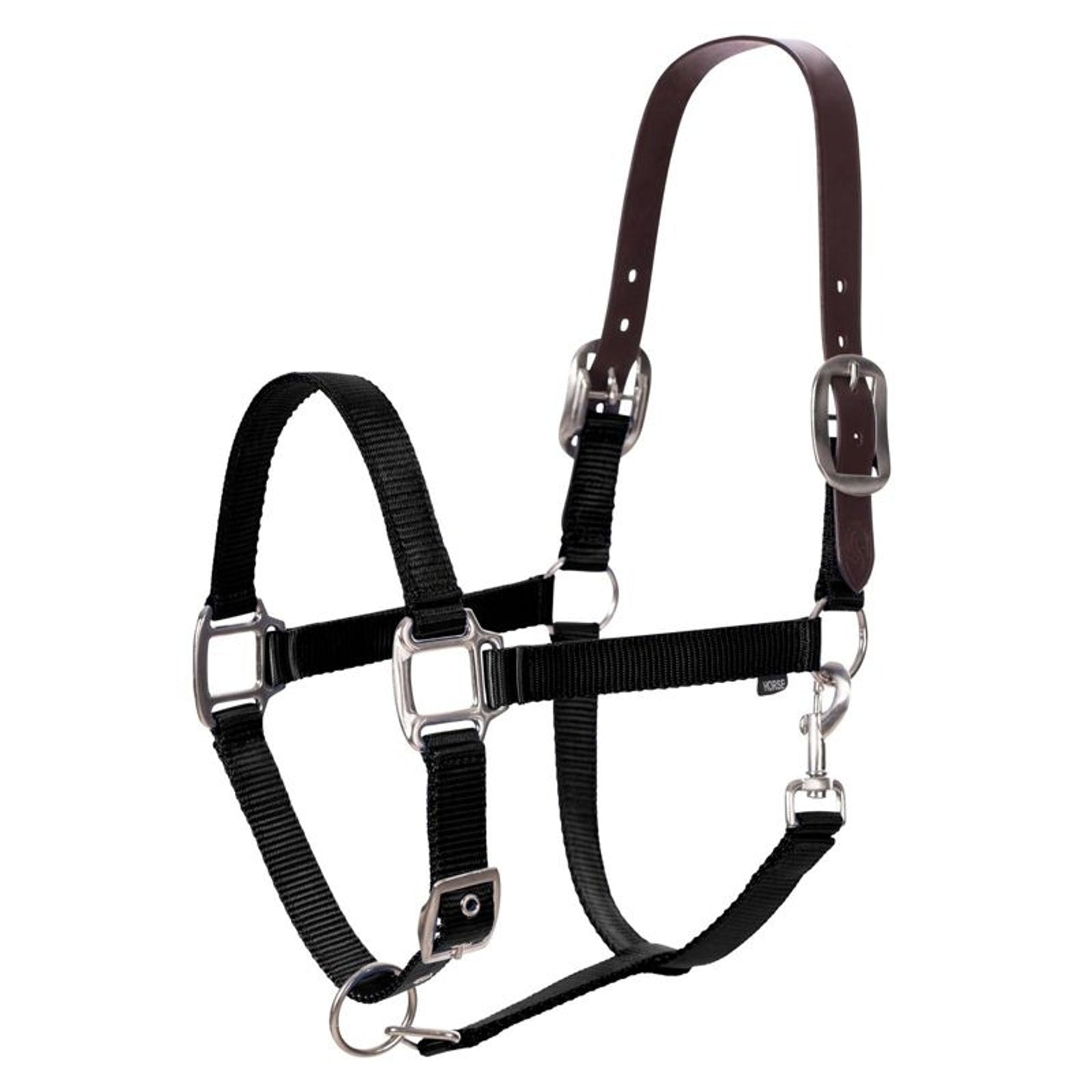TH1749154_P.jpg