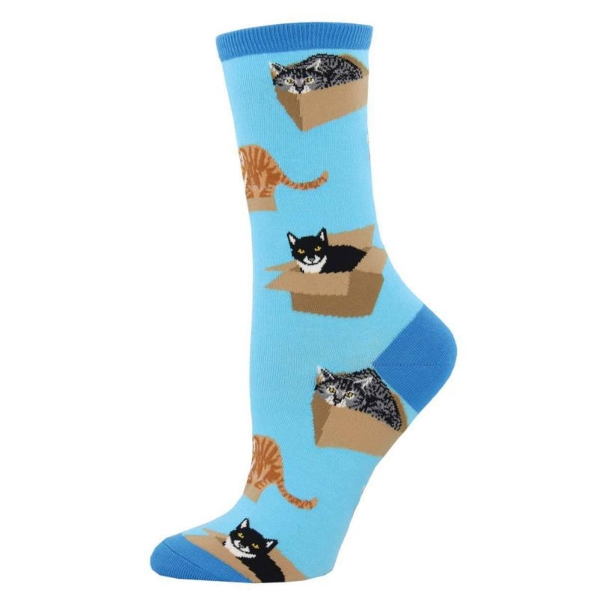 If I Fits Cat Socks