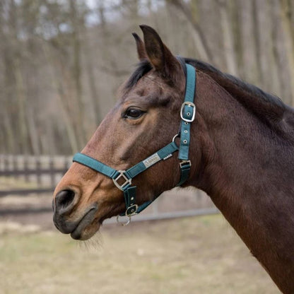 Lettia EquiFine Breakaway Halter