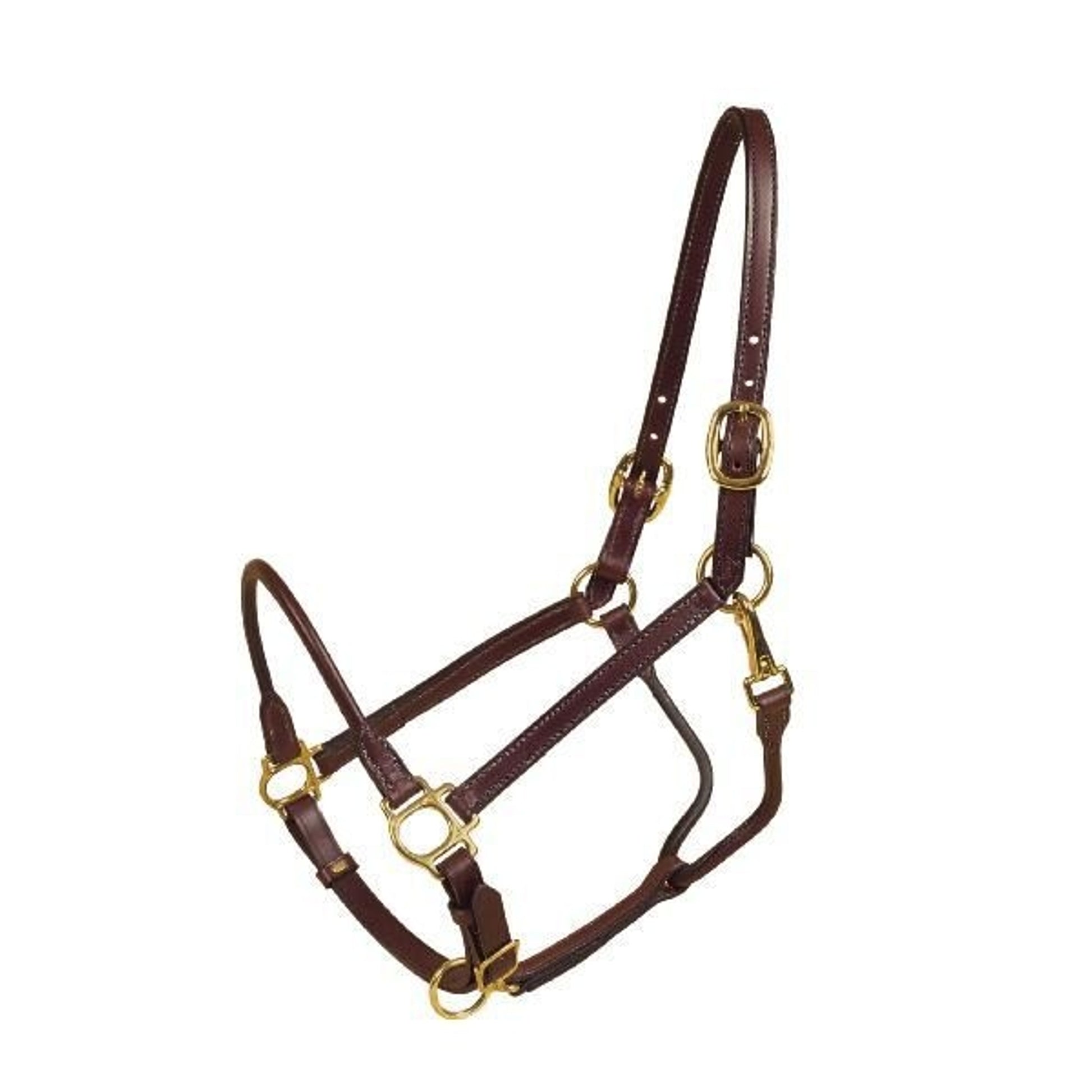 Tory Halter - Rolled Nose And Throat Cob Havana
