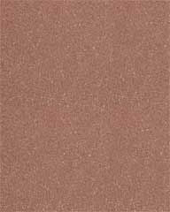 Sand For Desert Dwelling Reptiles 14 x 10 x 2