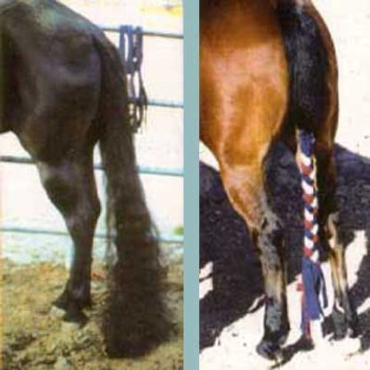 TailWrap Techquine Braid Tail Wrap