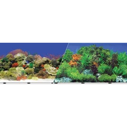 Blue Ribbon Reef Aquarium Background