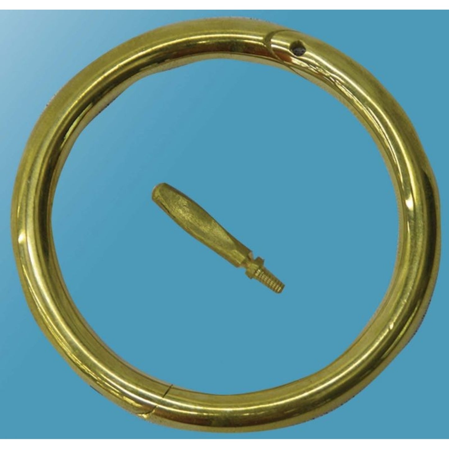 TH306834.jpg
