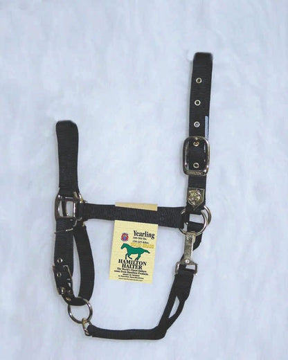 Hamilton Halter Adjustable Chin/Snap Yearling Blue