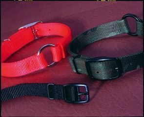 Safe-Rite Dog Collar With Tape 1 X26 Orange