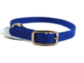 Single Thck Nyln Dlx Dg Collar 3/8 X12 Blu