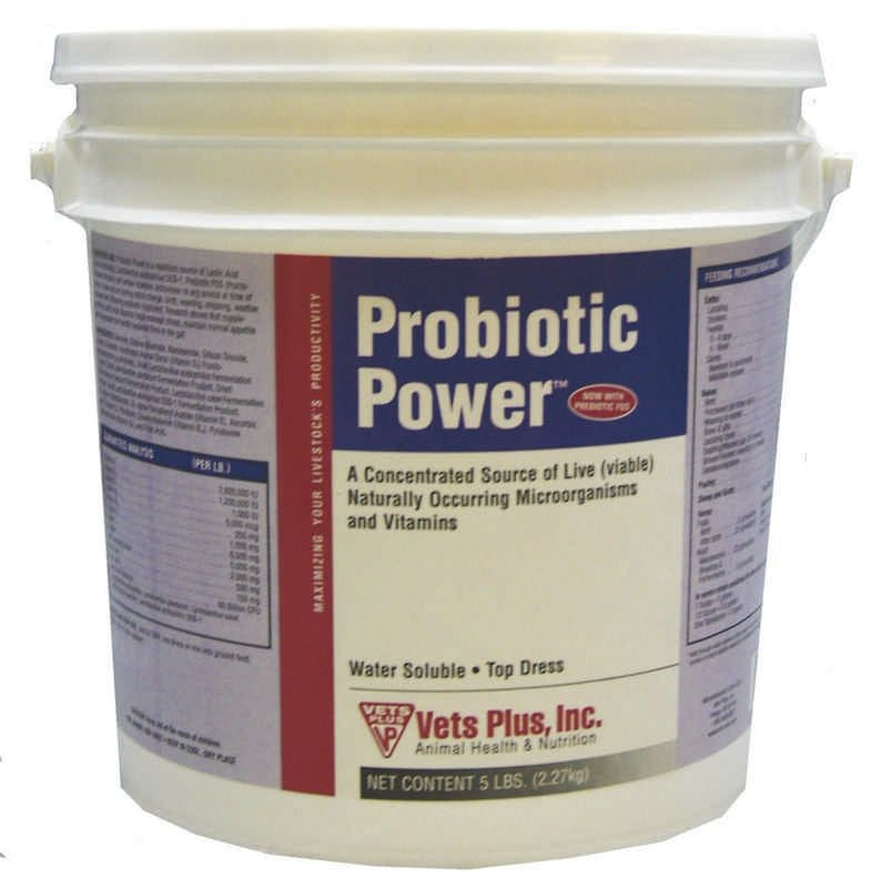 Lacto Powder Probiotic 5lb