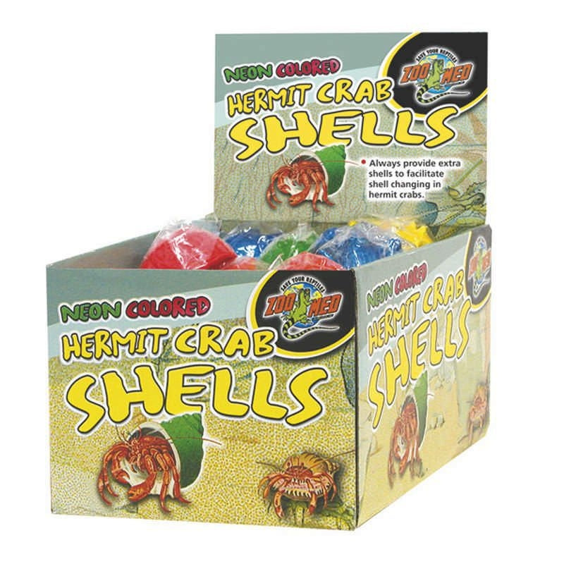 Hermit Crab Neon Shells 36 pc Assorted