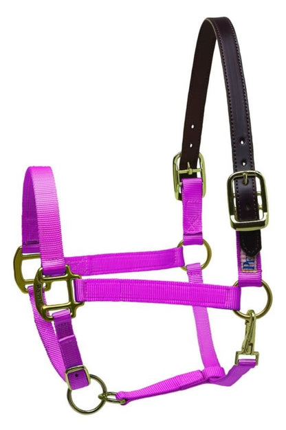 Perris Nylon Safety Halter