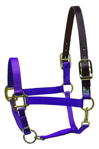 Perris Nylon Safety Halter
