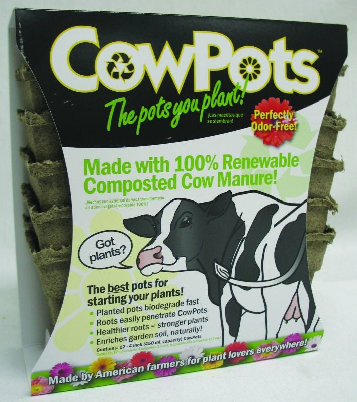 Cow Pots - 12 Pack 3 Inch Brown